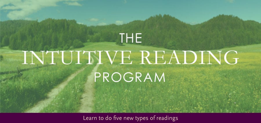 the intuitive reading program