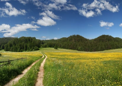 Are Law of Attraction Teachings Helpful (or a Waste of Time?)