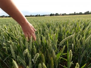 Empaths & HSPs: 5 Helpful Tips for Managing Sensitivity