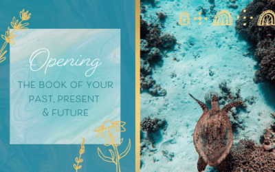 Opening The Book of Your Past, Present & Future