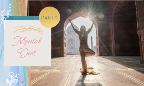Mental Diet Part 2 — What are you consuming and how is it affecting your manifesting process? 